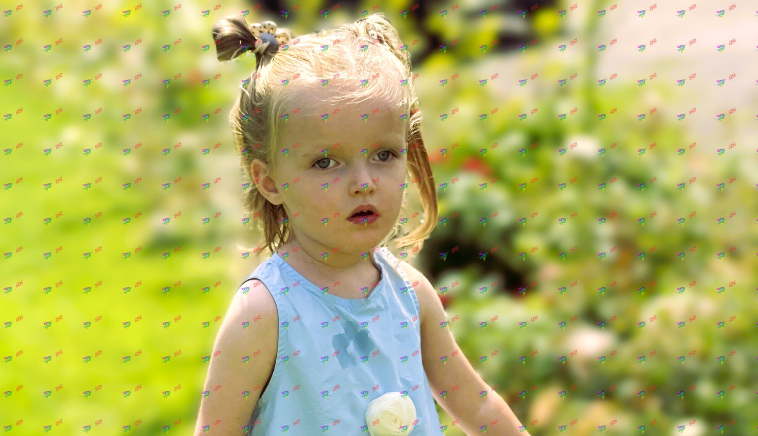 Евеліна може втратити всі вміння