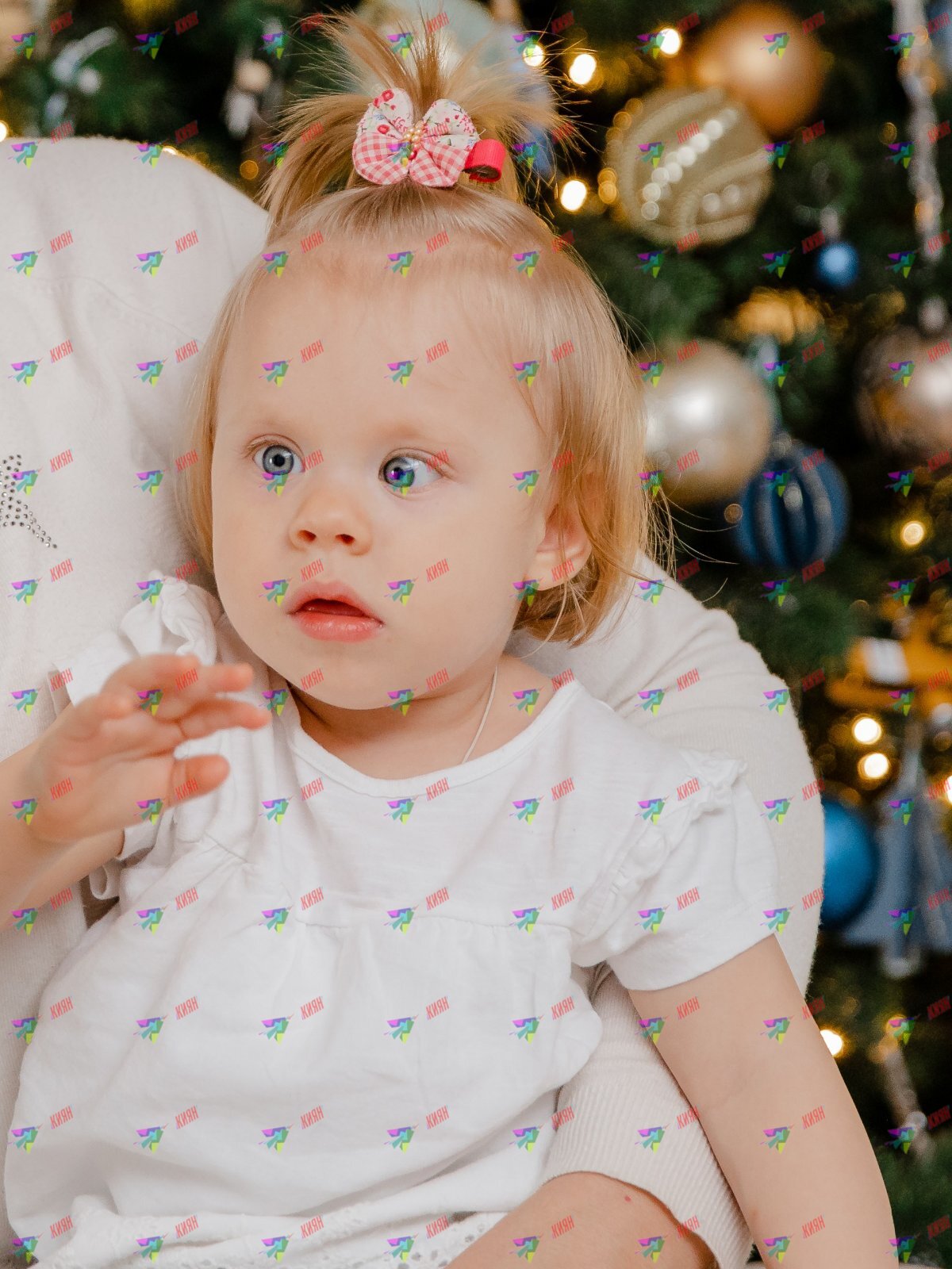 Єва: допомога, яка підтримує родину на прифронтовій території