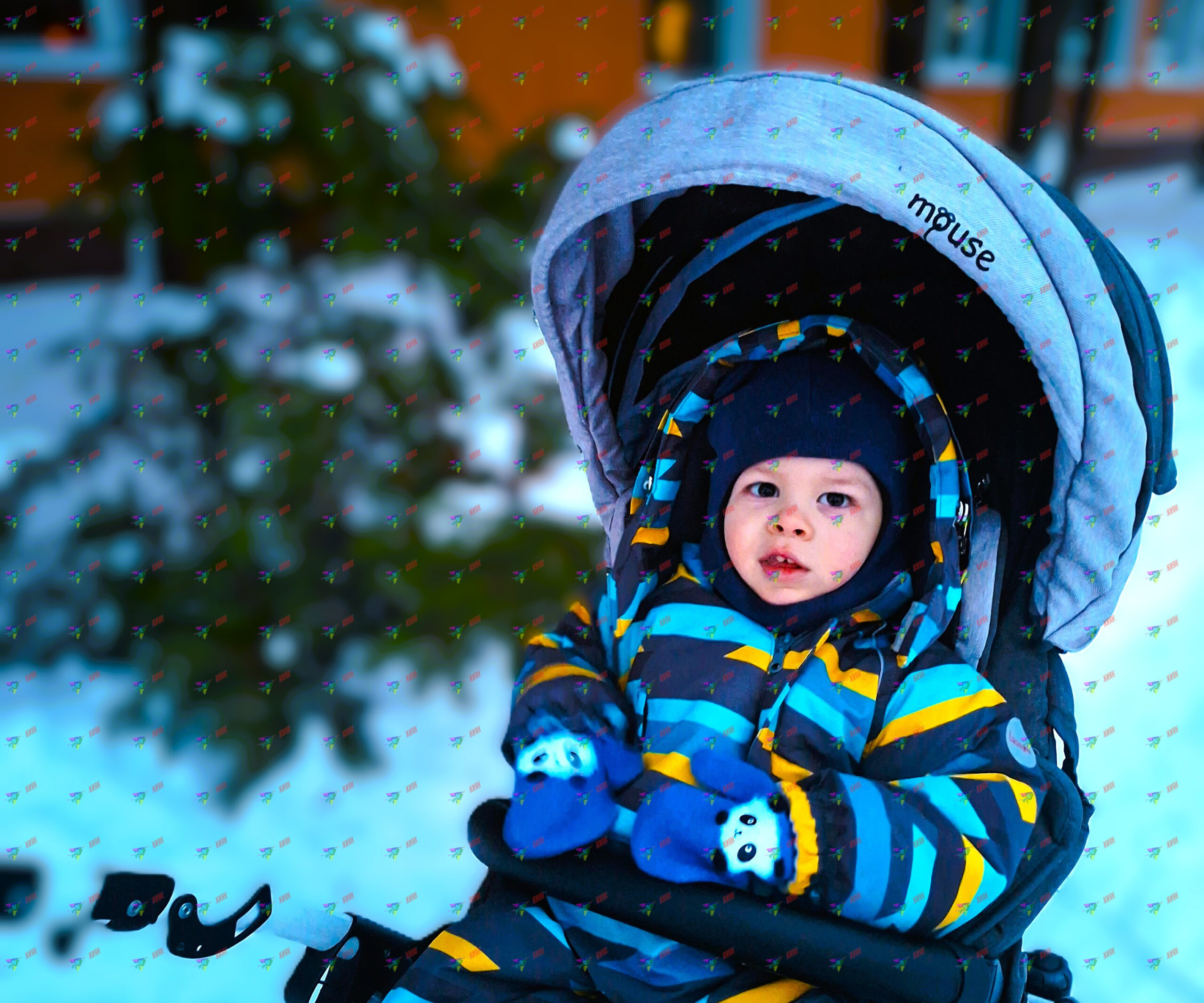 Без допомоги він не зможе…